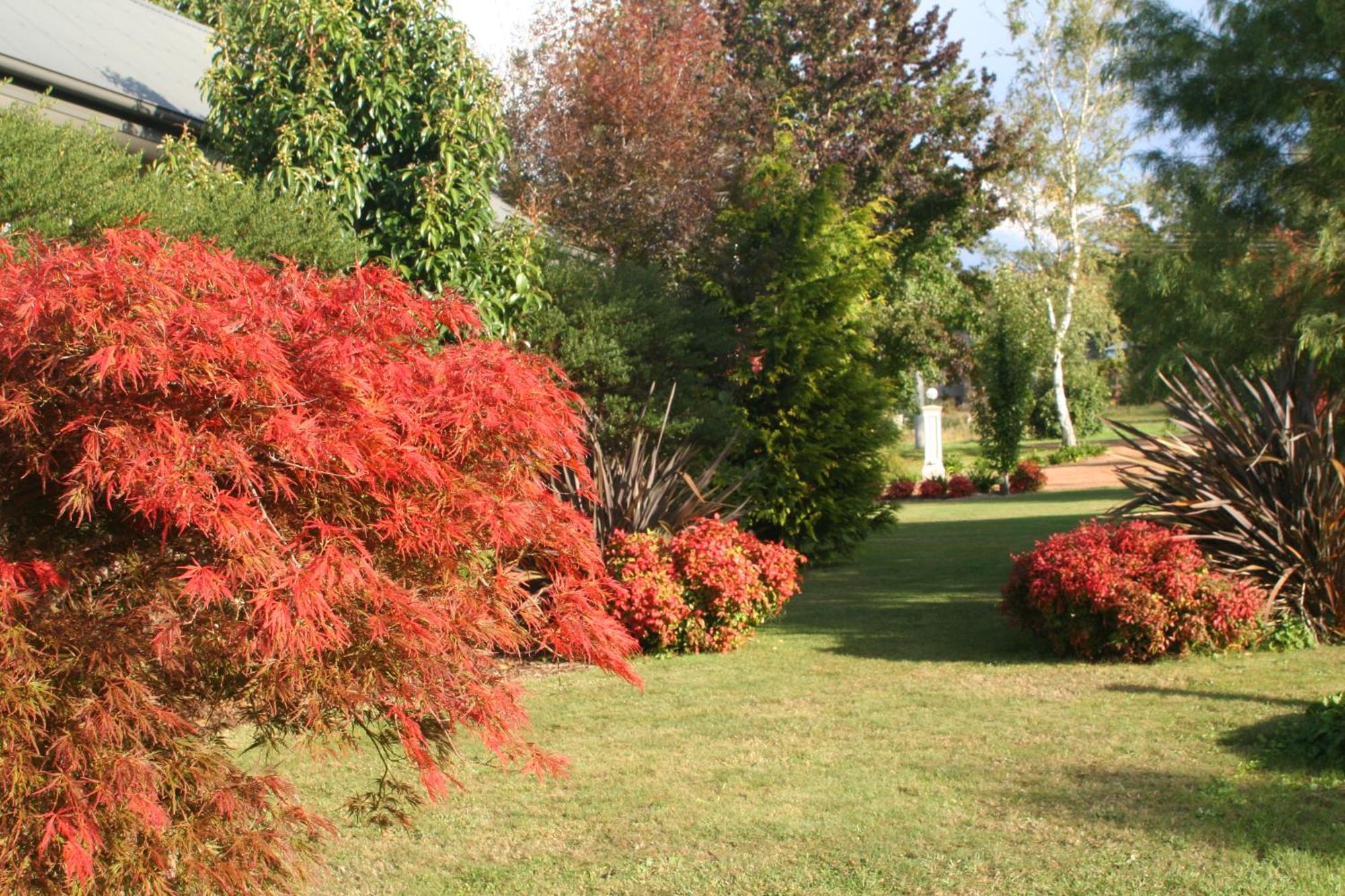 Delderfield Villas Marysville Exteriér fotografie