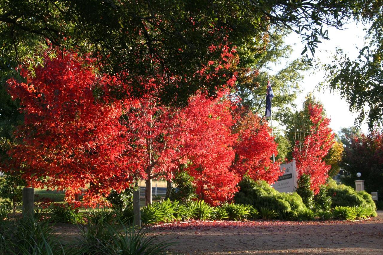 Delderfield Villas Marysville Exteriér fotografie
